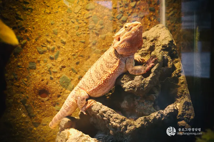 뉴포트 만 자연생태보호구역, Upper Newport Bay Nature Preserve Interpretive Center