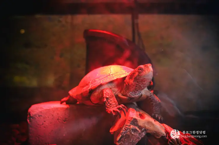 뉴포트 만 자연생태보호구역, Upper Newport Bay Nature Preserve Interpretive Center