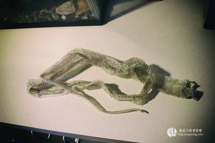 뉴포트 만 자연생태보호구역, Upper Newport Bay Nature Preserve Interpretive Center