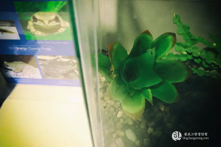 뉴포트 만 자연생태보호구역, Upper Newport Bay Nature Preserve Interpretive Center