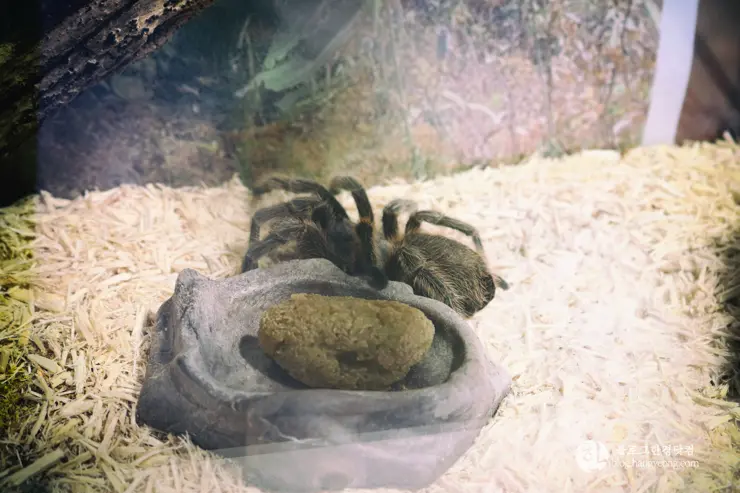 뉴포트 만 자연생태보호구역, Upper Newport Bay Nature Preserve Interpretive Center