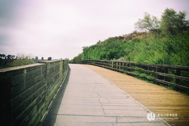 뉴포트 만 자연생태보호구역, Upper Newport Bay Nature Preserve Interpretive Center