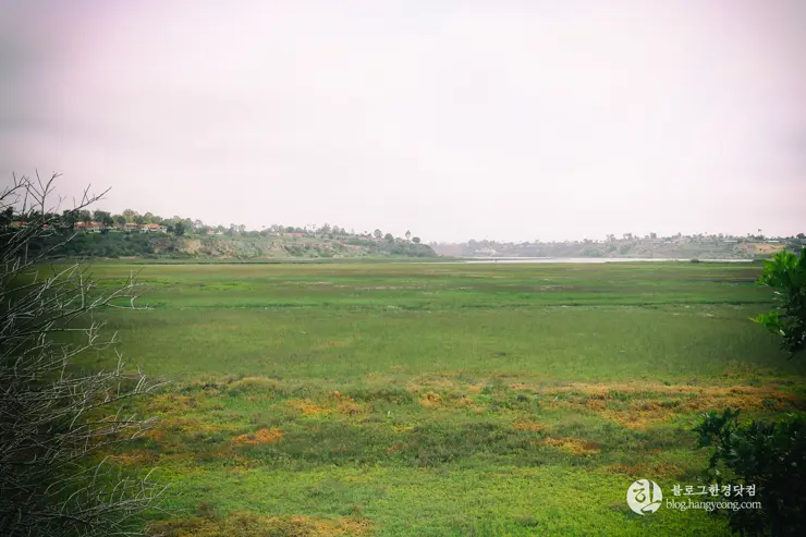 뉴포트 만 자연생태보호구역, Upper Newport Bay Nature Preserve Interpretive Center