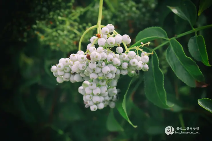 뉴포트 만 자연생태보호구역, Upper Newport Bay Nature Preserve Interpretive Center