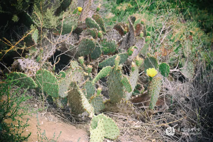 뉴포트 만 자연생태보호구역, Upper Newport Bay Nature Preserve Interpretive Center