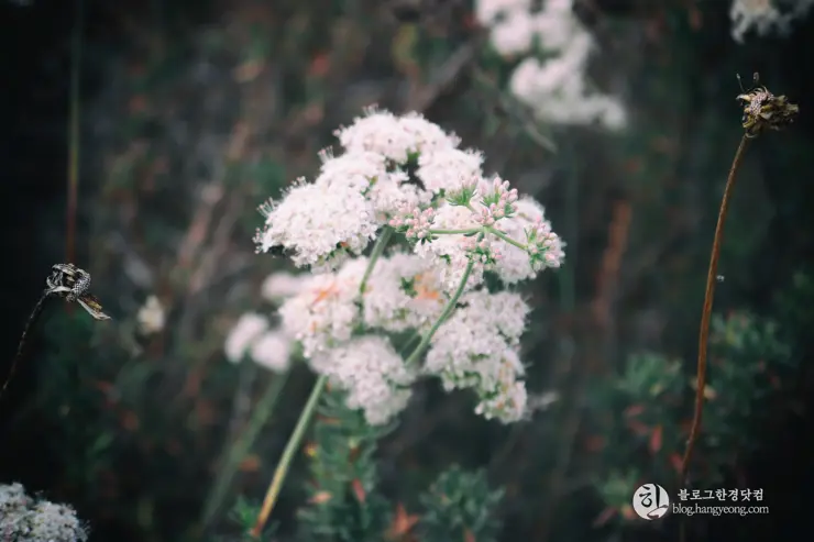 뉴포트 만 자연생태보호구역, Upper Newport Bay Nature Preserve Interpretive Center