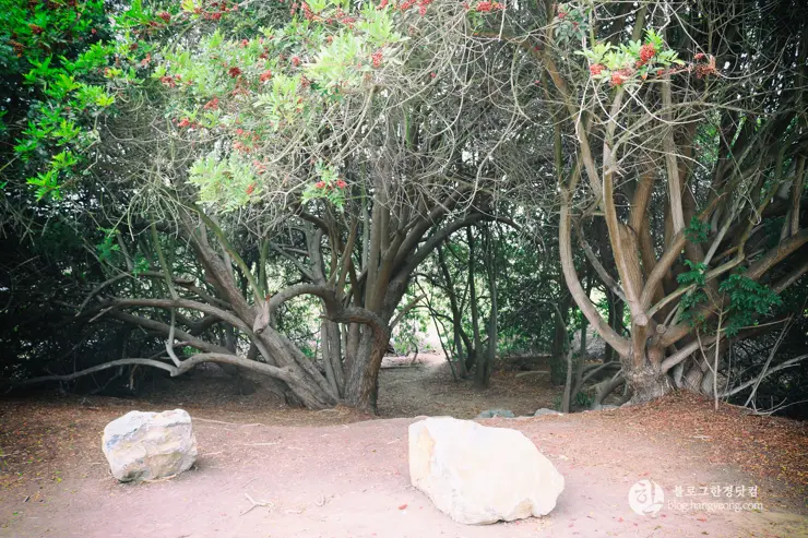 뉴포트 만 자연생태보호구역, Upper Newport Bay Nature Preserve Interpretive Center