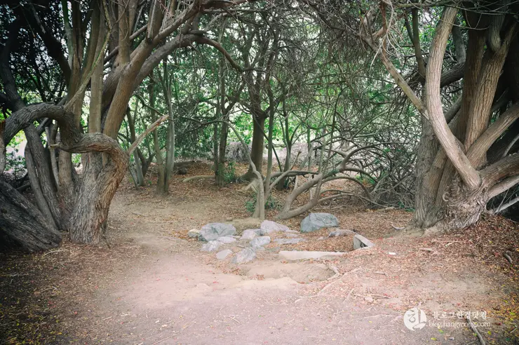 뉴포트 만 자연생태보호구역, Upper Newport Bay Nature Preserve Interpretive Center