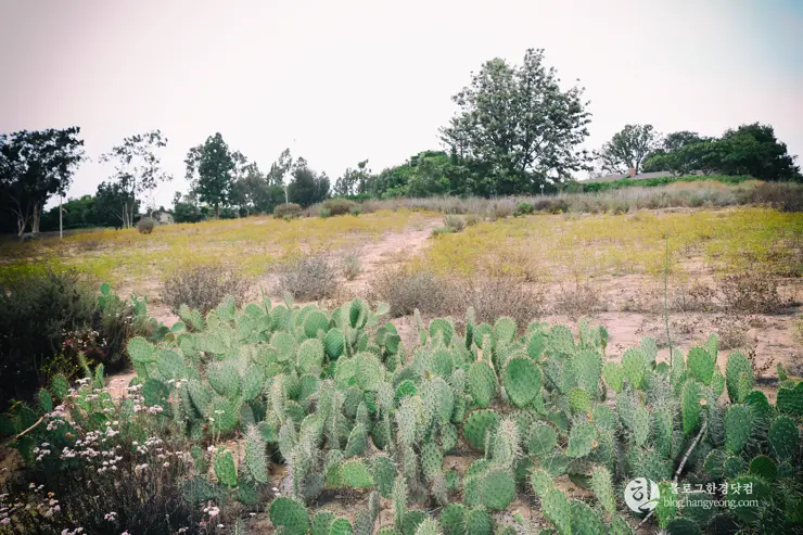 뉴포트 만 자연생태보호구역, Upper Newport Bay Nature Preserve Interpretive Center