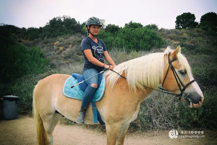 뉴포트 만 자연생태보호구역, Upper Newport Bay Nature Preserve Interpretive Center