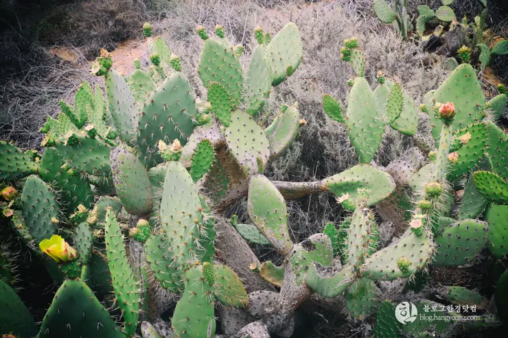 뉴포트 만 자연생태보호구역, Upper Newport Bay Nature Preserve Interpretive Center