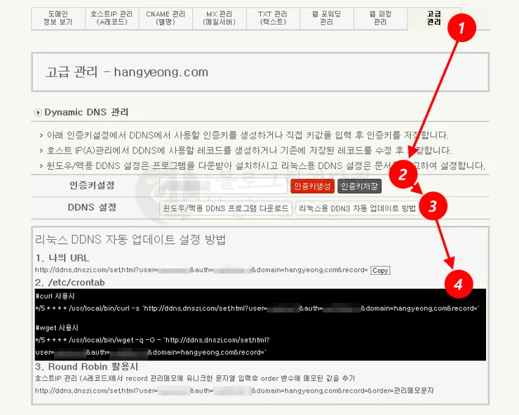 DNSZi에서 Dynamic DNS (리눅스 DDNS 자동 업데이트 설정)관리 하는 법