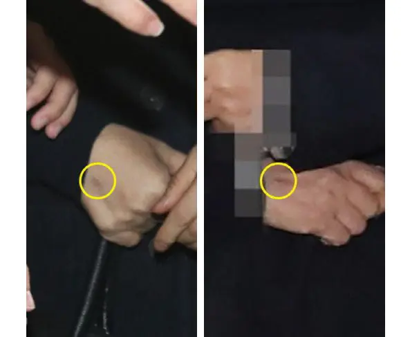 최순실 대역 논란 SNS에서 일파만파, 실제론?