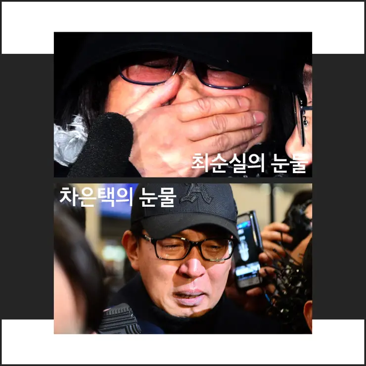 악어의 눈물 뜻