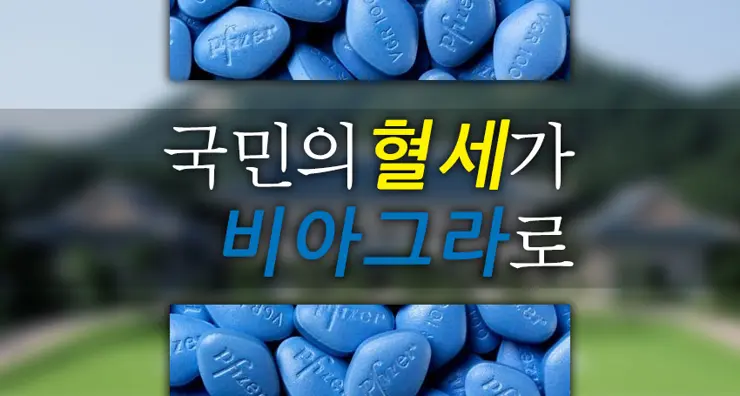 청와대, 국민의 세금으로 비아그라, 팔팔정 구매