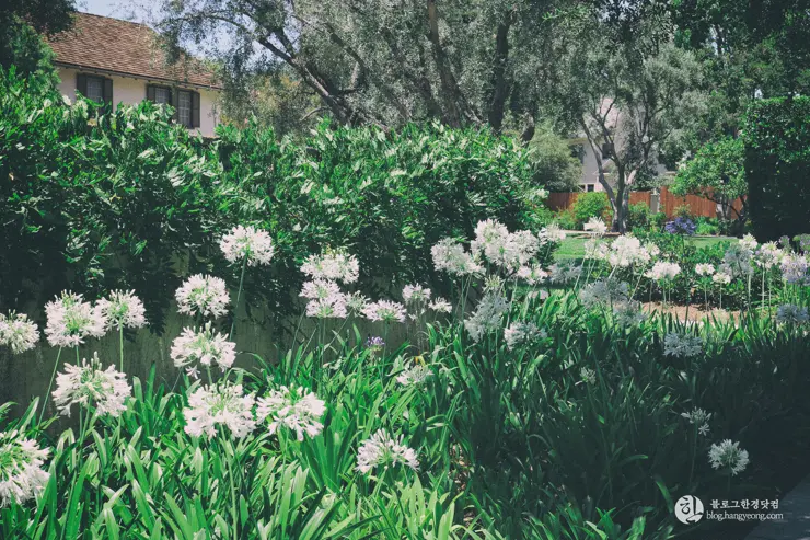 칼텍 (Caltech), 캘리포니아 공과대학 (California Institute of Technology) – 1