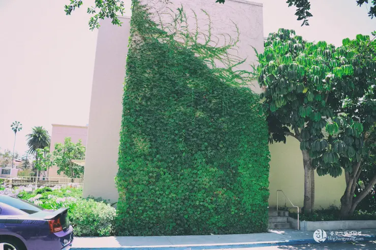 칼텍 (Caltech), 캘리포니아 공과대학 (California Institute of Technology) – 1