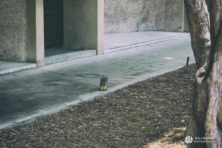 칼텍 (Caltech), 캘리포니아 공과대학 (California Institute of Technology) – 1