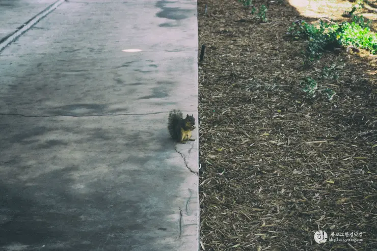 칼텍 (Caltech), 캘리포니아 공과대학 (California Institute of Technology) – 1