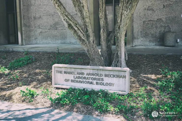 칼텍 (Caltech), 캘리포니아 공과대학 (California Institute of Technology) – 1