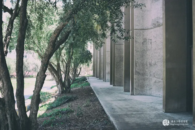 칼텍 (Caltech), 캘리포니아 공과대학 (California Institute of Technology) – 1