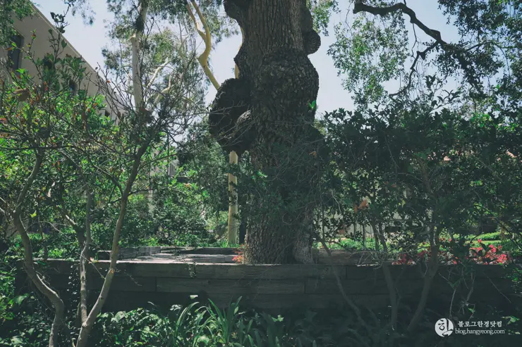 칼텍 (Caltech), 캘리포니아 공과대학 (California Institute of Technology) – 2