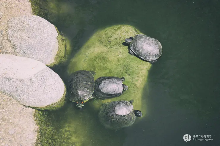 칼텍 (Caltech), 캘리포니아 공과대학 (California Institute of Technology) – 2