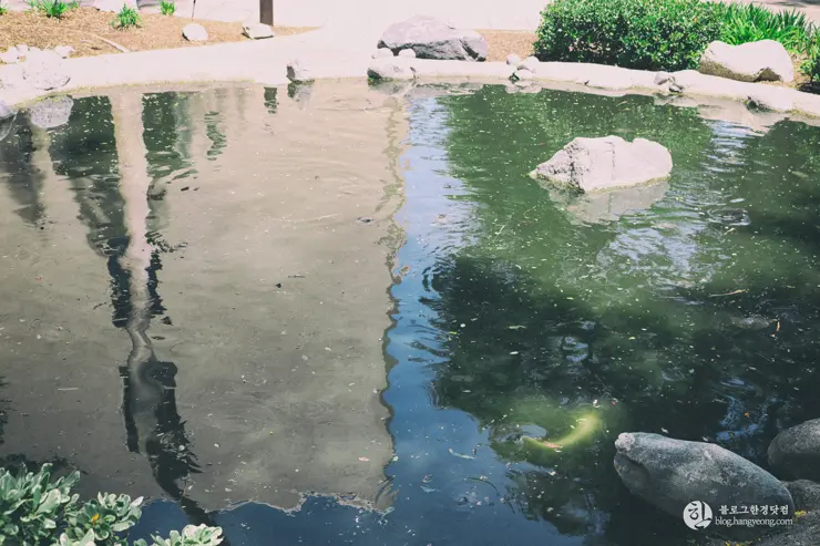 칼텍 (Caltech), 캘리포니아 공과대학 (California Institute of Technology) – 2