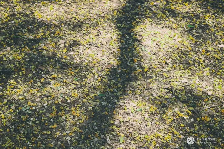 칼텍 (Caltech), 캘리포니아 공과대학 (California Institute of Technology) – 2