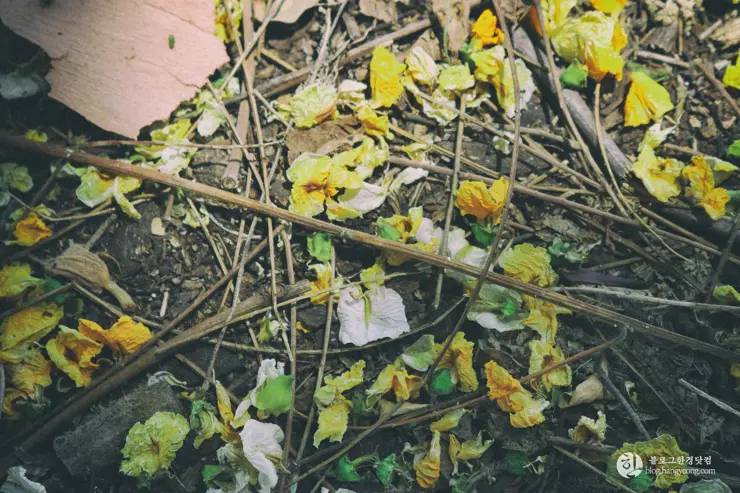 칼텍 (Caltech), 캘리포니아 공과대학 (California Institute of Technology) – 2