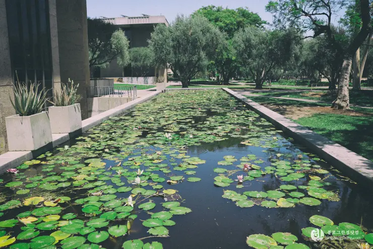 칼텍 (Caltech), 캘리포니아 공과대학 (California Institute of Technology) – 2