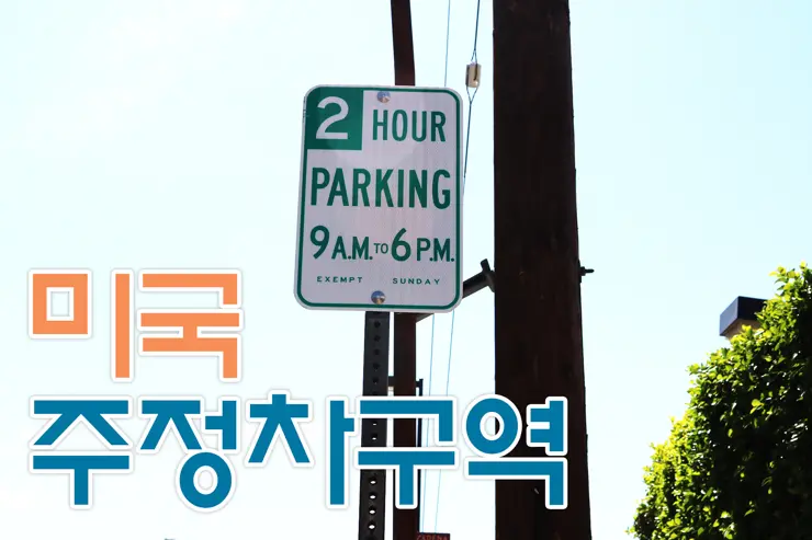 미국 스트릿 파킹, 주정차 가능 구역, 붉은색 라인 절대 불가