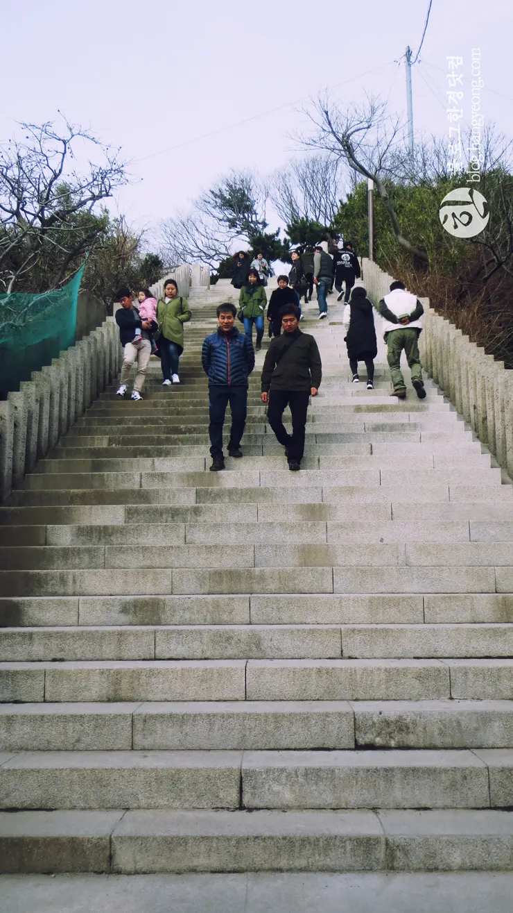 포항여행, 구룡포(1) 일본인 가옥 거리, 근대문화역사거리