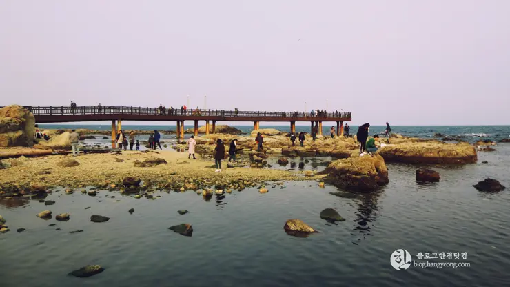 포항여행, 호미곶 (상생의 손, 해맞이 광장)