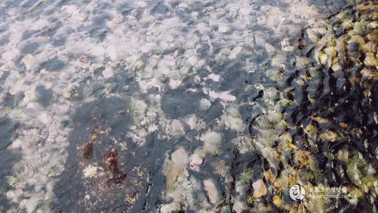 포항여행, 호미곶 (상생의 손, 해맞이 광장)