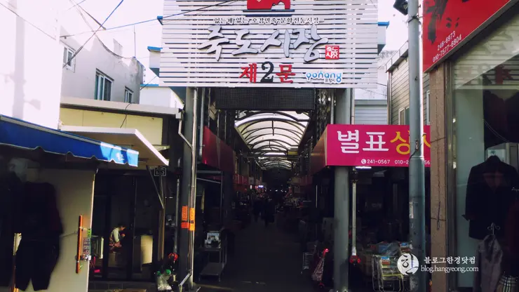 포항여행, 시장 투어 (죽도시장, 흥해시장)