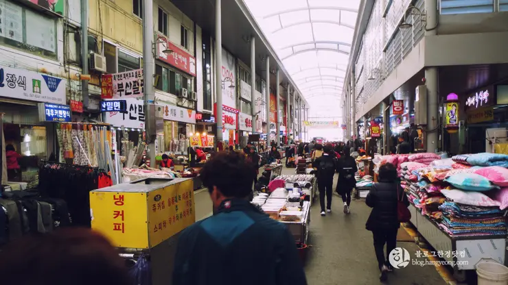 포항여행, 시장 투어 (죽도시장, 흥해시장)