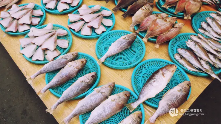 포항여행, 시장 투어 (죽도시장, 흥해시장)