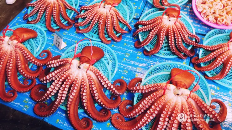 포항여행, 시장 투어 (죽도시장, 흥해시장)