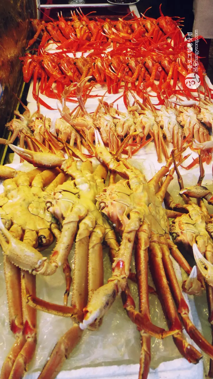 포항여행, 시장 투어 (죽도시장, 흥해시장)