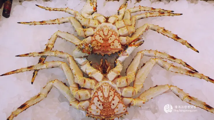 포항여행, 시장 투어 (죽도시장, 흥해시장)