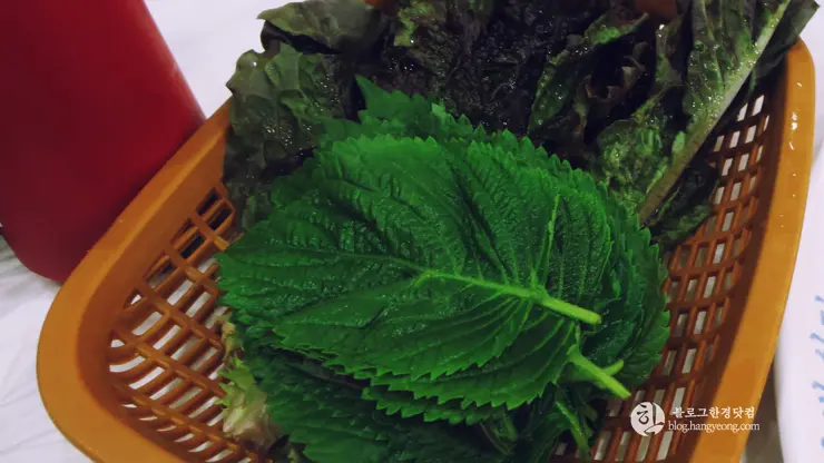 포항여행, 시장 투어 (죽도시장, 흥해시장)