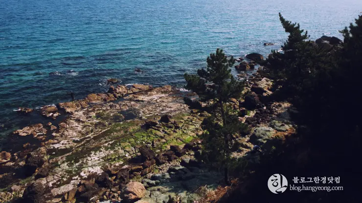 포항여행, 칠포-구도 해안 트레킹 코스 (동해안 연안 녹색길, 해오름 전망대)