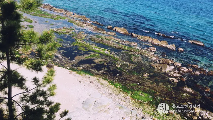 포항여행, 칠포-구도 해안 트레킹 코스 (동해안 연안 녹색길, 해오름 전망대)