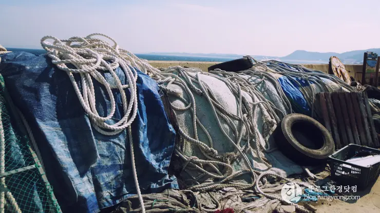 포항여행, 칠포-구도 해안 트레킹 코스 (동해안 연안 녹색길, 해오름 전망대)