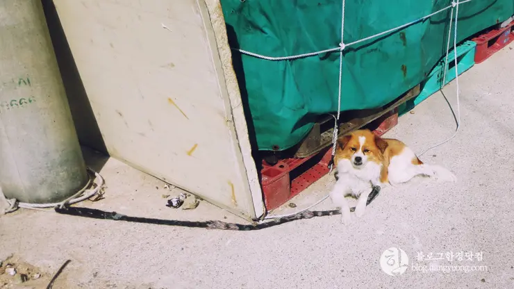 포항여행, 칠포-구도 해안 트레킹 코스 (동해안 연안 녹색길, 해오름 전망대)