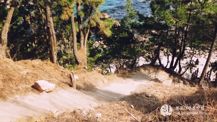 포항여행, 칠포-구도 해안 트레킹 코스 (동해안 연안 녹색길, 해오름 전망대)