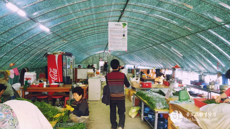 포항여행, 북송리 북천수 걷기 좋은 길 (feat. 비닐 하우스 미나리 삼겹살)