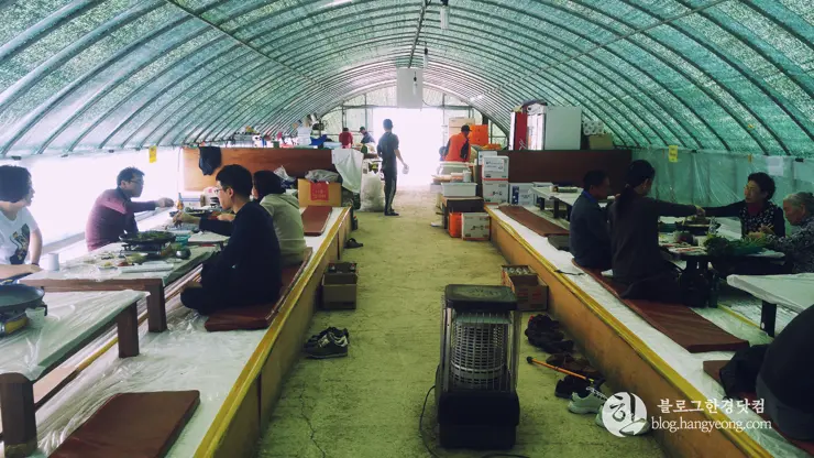 포항여행, 북송리 북천수 걷기 좋은 길 (feat. 비닐 하우스 미나리 삼겹살)