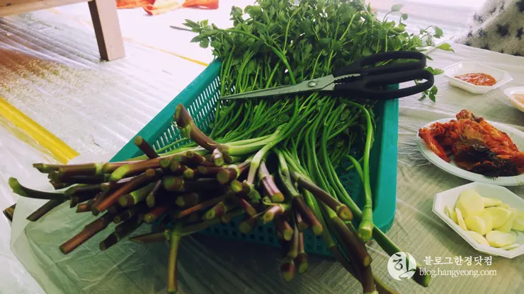 포항여행, 북송리 북천수 걷기 좋은 길 (feat. 비닐 하우스 미나리 삼겹살)